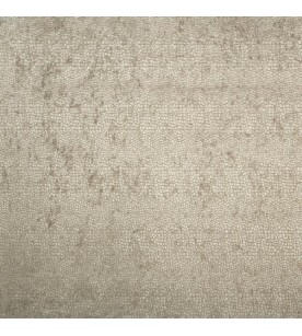 Velvino Pebovino 01-Chinchilla