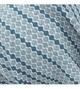 Vineyard Loire 04-Blue Bell