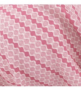 Vineyard Loire 08-Blossom