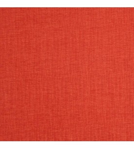 Prodigy Riptide 06-Canyon