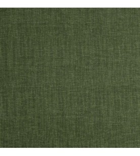 Prodigy Riptide 11-Forest