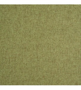 Prodigy Supra 15-Turtle