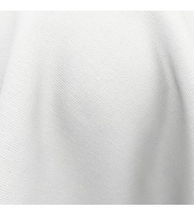 Proposition Assent 02-Swan