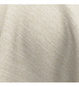 Proposition Assent 14-Rattan