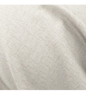 Proposition Assertion 10-Fawn