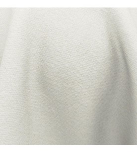 Proposition Contention 05-Bone