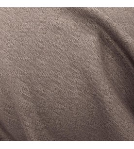 Proposition Offer 41-Bison