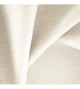 Proposition Program 16-Antique