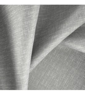 Proposition Program 37-Funghi