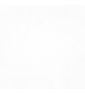 Movement Fauvism 01-Snow