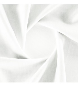 Nighthawk Eventide...