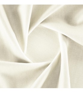 Nighthawk Nocturnal...