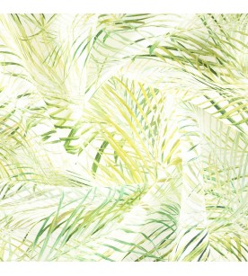 Tropico Aloe 02-Lime