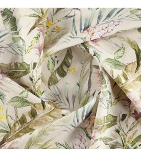 Tropico Streliza 01-Natural