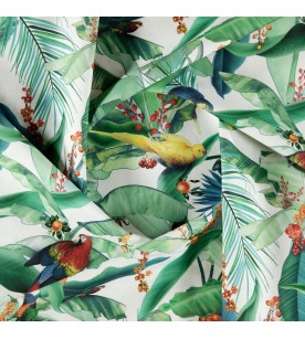 Tropico Zamiiflora 02-Ivory