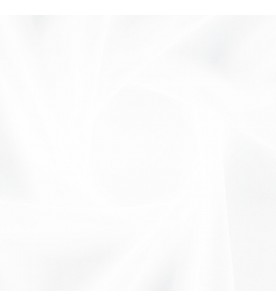 Twin Sister 05-Cloud