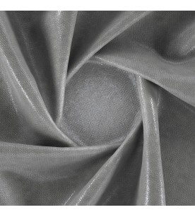 Regent Chancellor 01-Shark