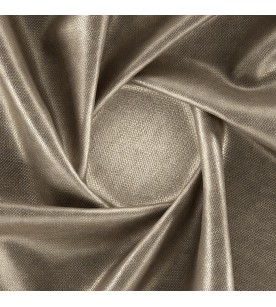 Regent Chancellor...