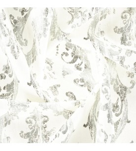 Regent Congress 02-Bone