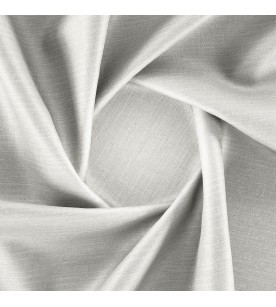 Regent President 01-Fog