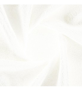 Protégé Mentor 03-Swan