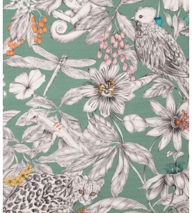 Manga-Fond Vert De Gris