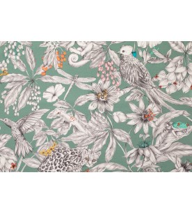 Manga-Fond Vert De Gris 2