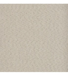 Andromeda Black Out 1868-03...