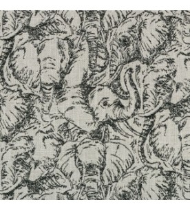 Ikaria Senda Φ.1,46-00