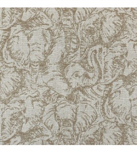 Ikaria Senda Φ.1,46-01