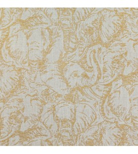 Ikaria Senda Φ.1,46-05