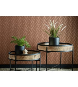 Willow Rattan Burnt Orange... 2