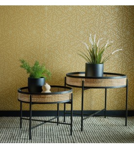 Willow Willow Honey...