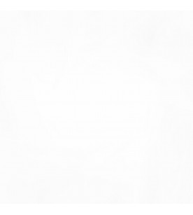 Sheer Wonders Superb 99-Snow