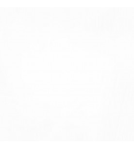 Sheer Wonders Fabulous 94-Snow