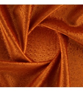 Showtime Actress 07-Sienna