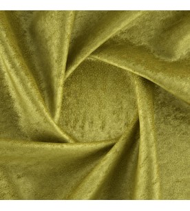 Showtime Cast 10-Spring