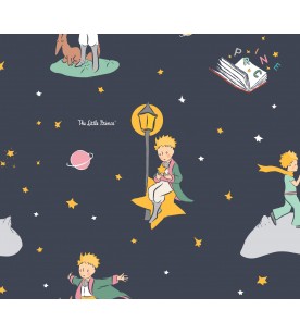 Little Prince In Space Marine