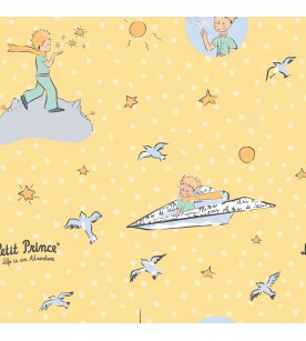 Little Prince In The A...