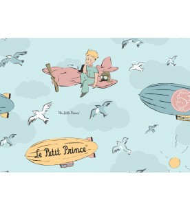 Little Prince In The Air...