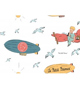 Little Prince In The Air White