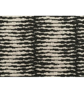 African Trees Baobab 71