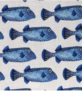 Poissons Coffre Fond Creme...