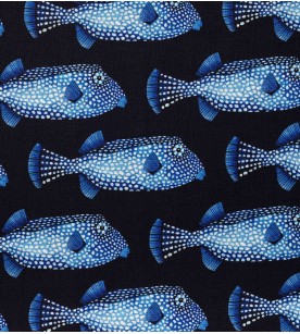 Poissons Coffre Fond Marine...