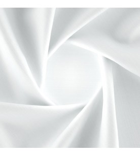 Outnumbered Honu 03-Swan