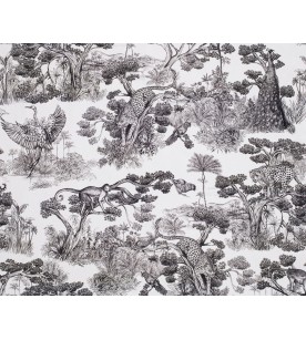 Animalia Noir 2583601