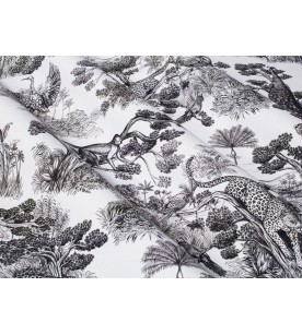 Animalia Noir 2583601 2