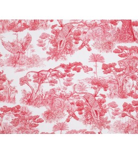 Animalia Bordeaux 2583603