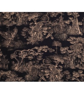 Animalia Fond Noir 2583604