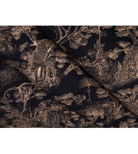 Animalia Fond Noir 2583604 2